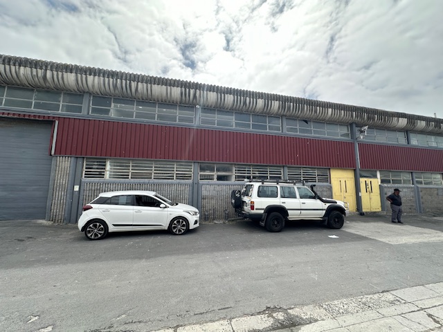 To Let commercial Property for Rent in Retreat Industrial Western Cape